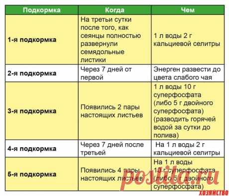 График подкормок томатной рассады

Многие считают, что томатный куст — это как пластилин, что ТЕБЕ надо, то ты и слепишь из него. Надо смотреть по кусту — он сам подскажет, что ему нужно. Поэтому мы начинаем «лепить» свои томаты еще в рассаде. 

1-я подкормка — на третьи сутки после того, как сеянцы полностью развернули семядольные листики: 1 л. воды 2 гр. кальциевой селитры

2-я подкормка — через 7 дней от первой: Энерген развести до цвета слабого чая

3-я подкормка — поя...