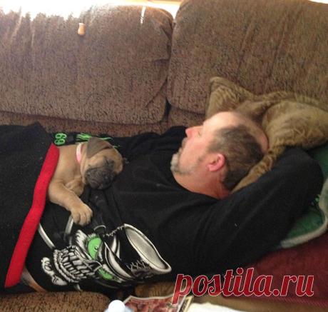 Отцы, которые запрещали приводить в дом "эту чертову собаку"