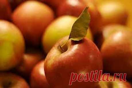 Яблочный уксус для ополаскивания волос