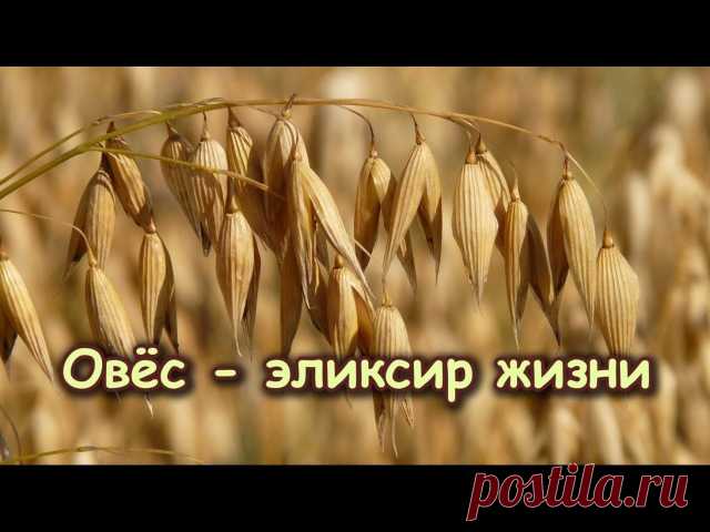 ЭЛИКСИР ЖИЗНИ — ПОДНИМЕТ НА НОГИ ДАЖЕ САМОГО ТЯЖЕЛОГО БОЛЬНОГО 

#ВЪДИ #Исторiя #Человъкъ #Образованiе #Питаніе #Растенія #Народъ #Книгi

Овес - эликсир жизни - поднимет на ноги даже самого тяжелого больного: решает многие проблемы со здоровьем и восстанавливает силы. 

Один из самых лучших рецептов для оздоровления. 
* Один стакан зерен овса (в крайнем случае 