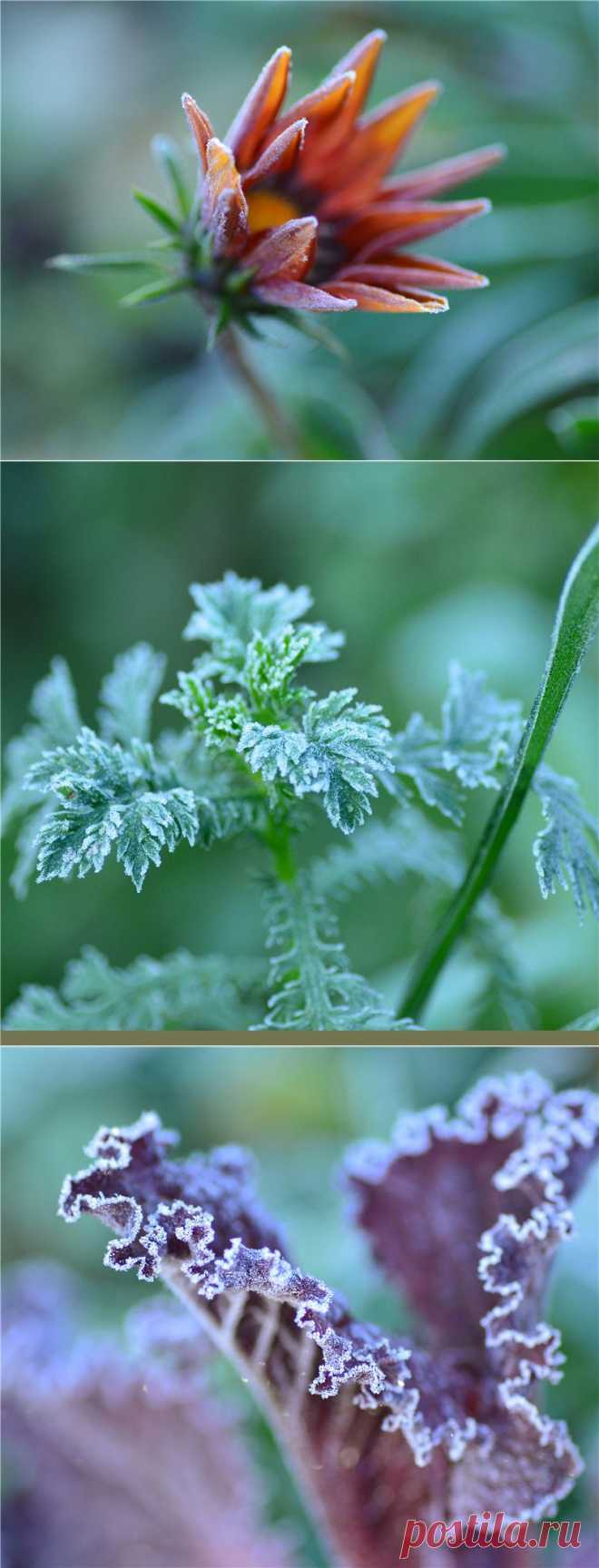 Двадцать седьмое сентября. | Искусство фотографии