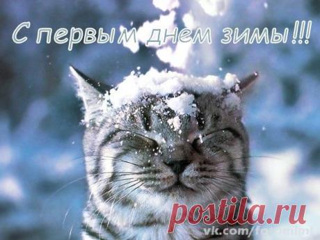 Воти зима