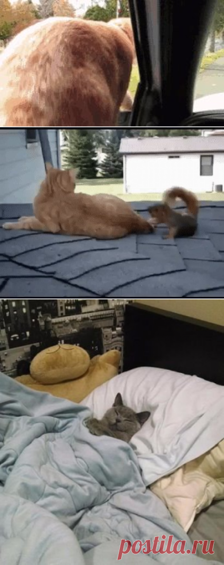 Вам сообщение!