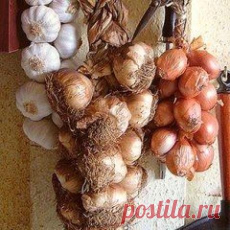 (90) Одноклассники