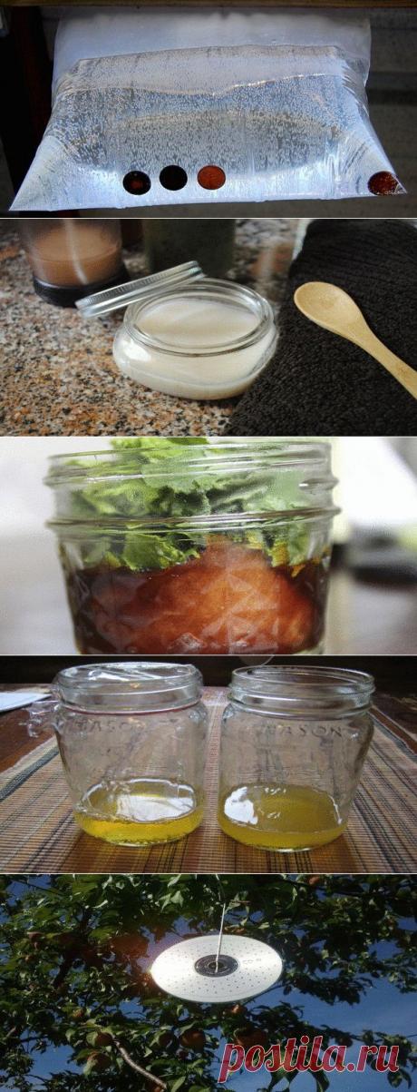 Как просто и дешево защитить свой дом от мух и комаров