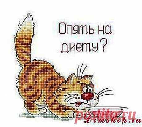 Диеты...нет! правильное питание +20 простых правил от Боба Харпера) | Советы Народной