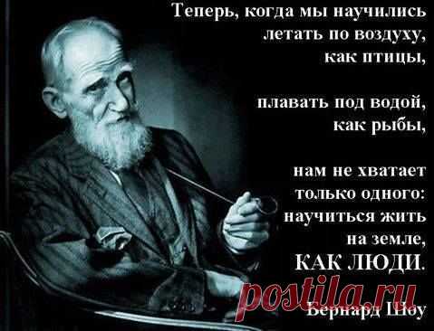 (71) Страницы