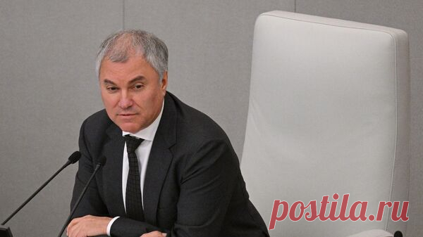 Володин призвал отделить "наливайки" и продажу вейпов от бизнеса