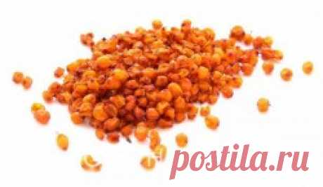 Облепиха сушеная купить | Шеф Орех