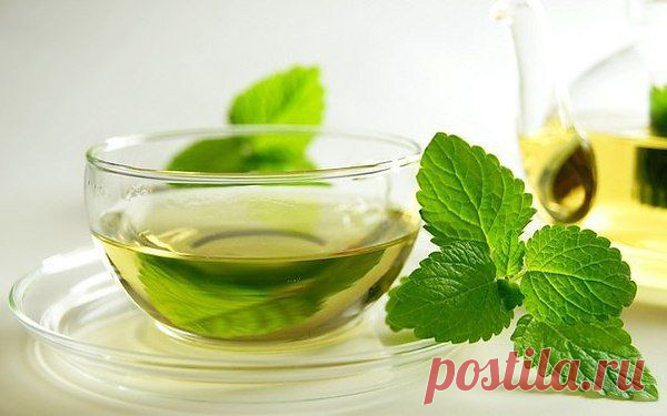 8 специй для здоровья / Болталка / Разговоры на любые темы