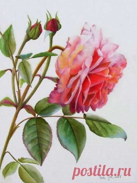 Дорис Джоа|Цветочная акварель.