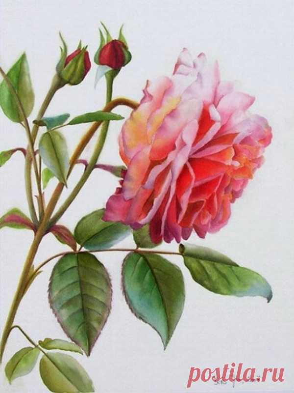 Дорис Джоа|Цветочная акварель.