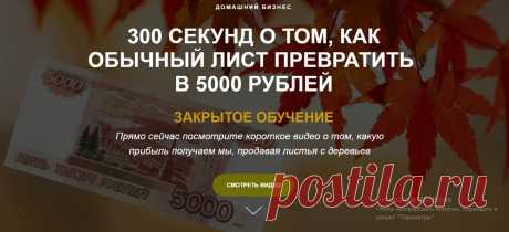 Узнайте как заработать на листьях с деревьев больше своей зарплаты | Хайкорея | Яндекс Дзен