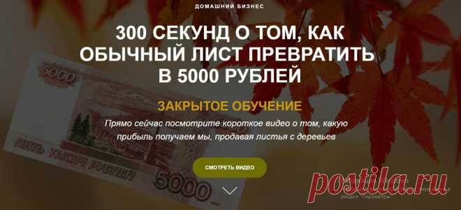 Узнайте как заработать на листьях с деревьев больше своей зарплаты | Хайкорея | Яндекс Дзен