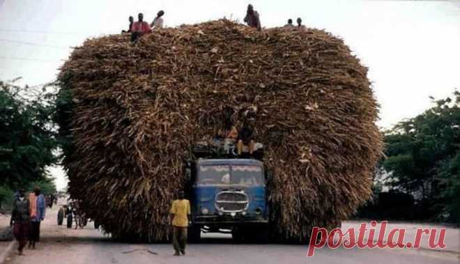 Транспортные перевозки, которые бросают вызов законам физики и здравому смыслу Если вы считаете, что законы физики нельзя нарушить, подумайте еще раз. Эти фотографии поставили бы в тупик самого Исаака Ньютона. На них представлены транспортные средства, перевозящие такие большие …