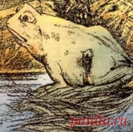 Оптическая иллюзия: что вы видите на этом изображении?