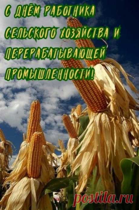 Вы дни и ночи на работе,
Ваш вклад оценен и почетен,
Работник сельского труда,
Без вас нам точно никуда.