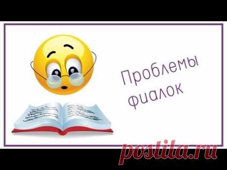 Проблемы фиалок и их решение