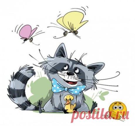 О котах :)