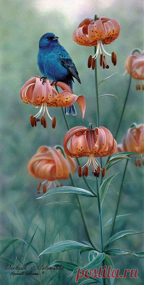 Russell Cobane. World of Nature | Art ♦ Feathered Friends