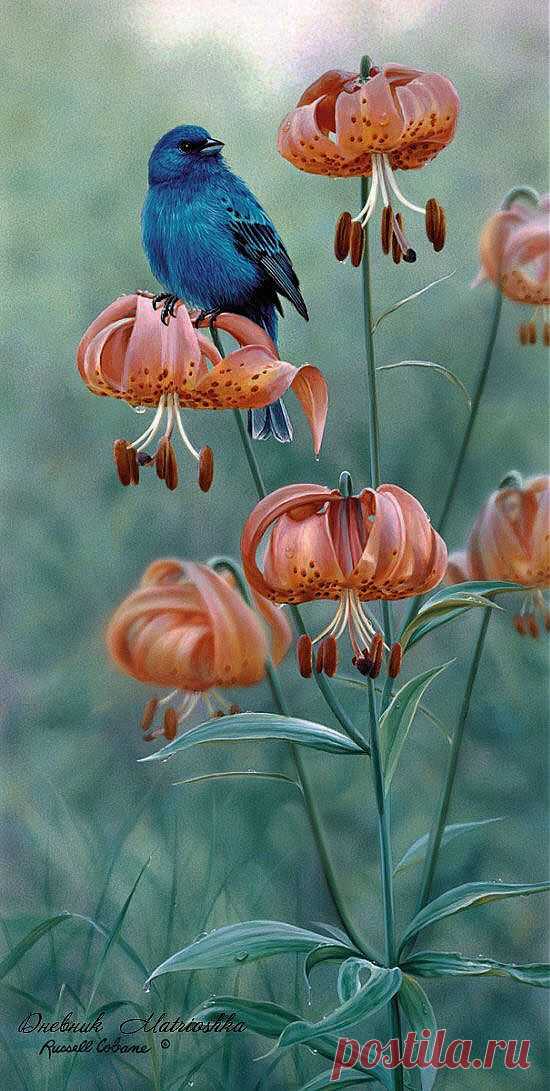 Russell Cobane. World of Nature | Art ♦ Feathered Friends