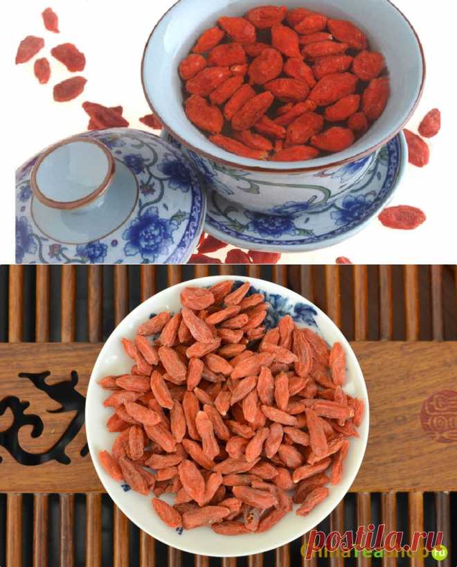 Ягоды Годжи эликсир здоровья и молодости.