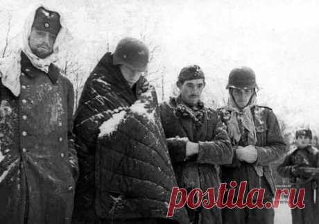 Обереги от пьянки. | Познавательный сайт ,,1000 мелочей&quot;