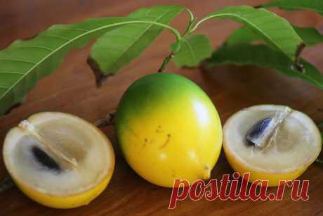 Каимито, малайское яблоко, маболо, рангпур: удивительные фрукты со всего мира Восемнадцатая часть необычных и малоизвестных фруктов со всего мира, которые поражают не только своей чудаковатой формой, но и специфическим запахом и пикантным вкусом …