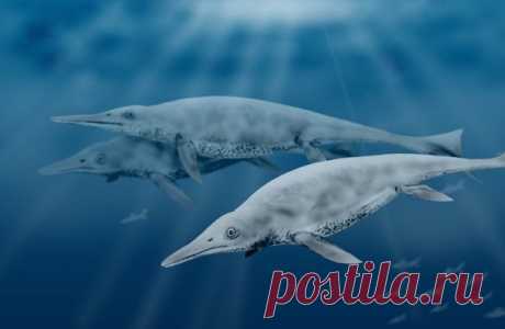 10 доисторических морских чудовищ