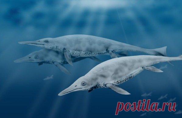 10 доисторических морских чудовищ