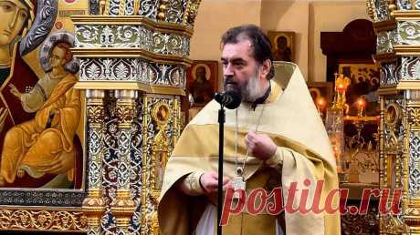 Погружайтесь и проповедуйте слово Божие! Протоиерей Андрей Ткачёв