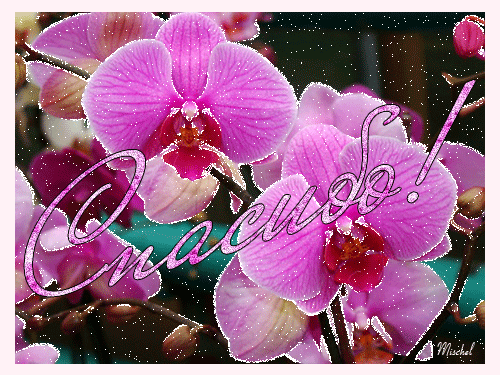 Красивые анимации Спасибо Благодарю 2 - clipartis Jimdo-Page! Скачать бесплатно фото, картинки, обои, рисунки, иконки, клипарты, шаблоны, открытки, анимашки, рамки, орнаменты, бэкграунды