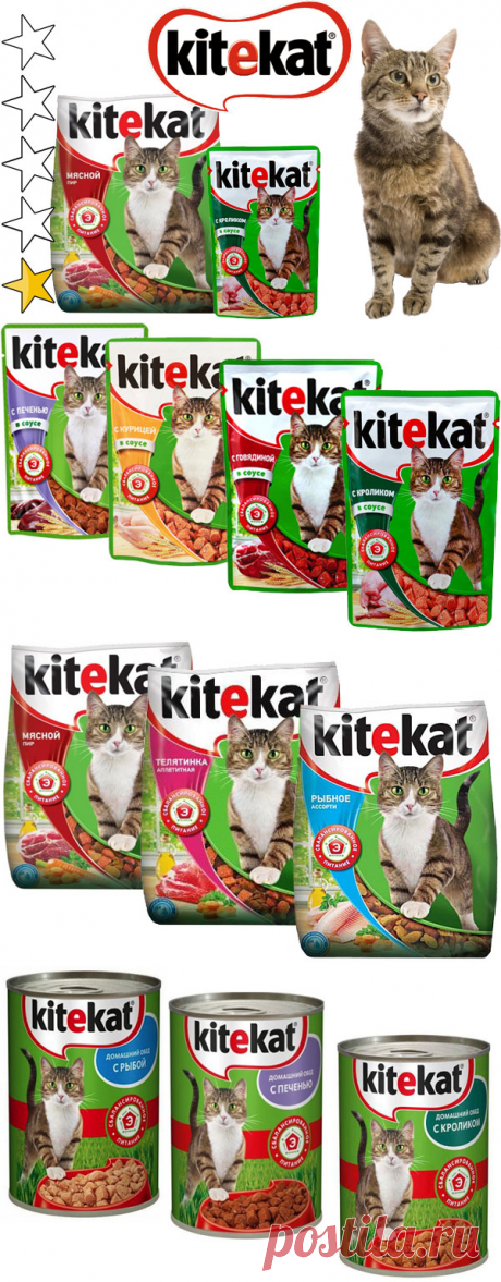 Корм для кошек Китекат (Kitekat): обзор, виды, состав, отзывы