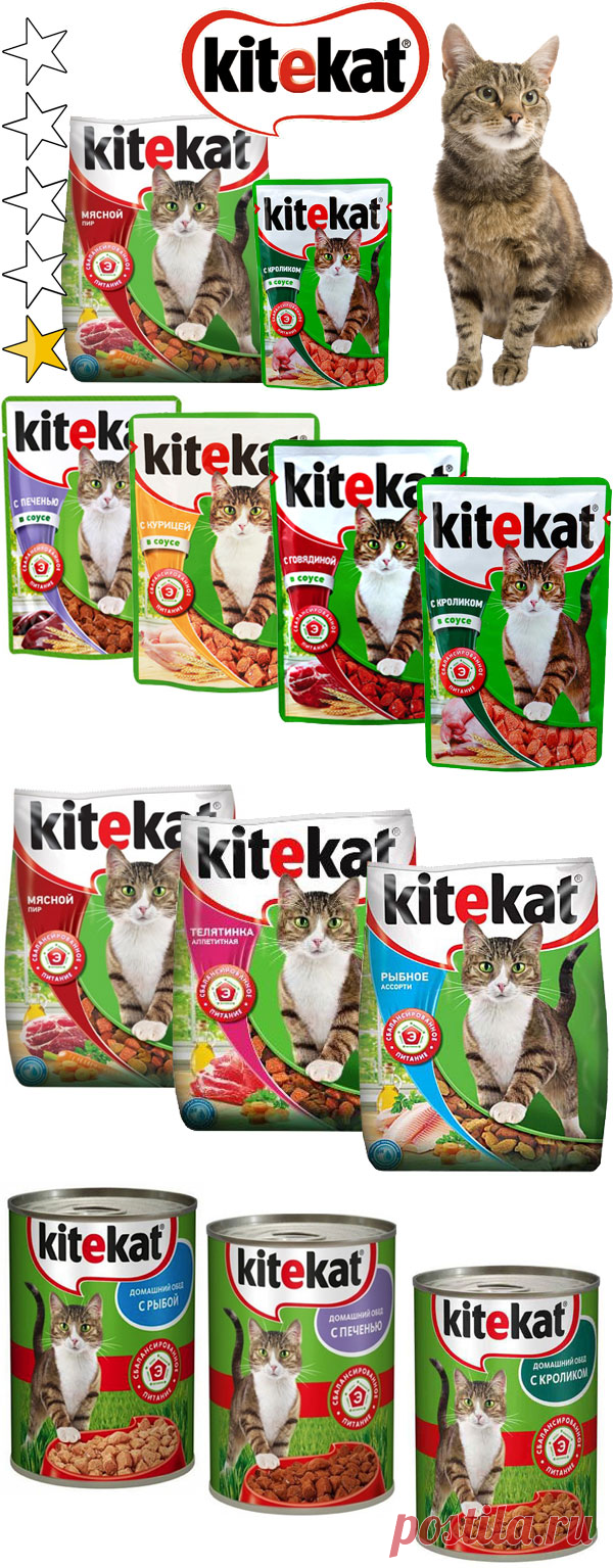 Корм для кошек Китекат (Kitekat): обзор, виды, состав, отзывы