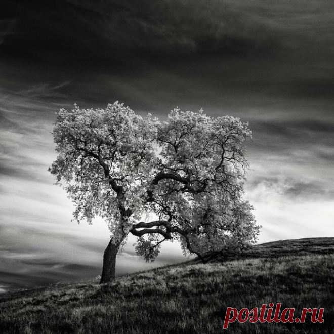 Инфракрасные молчаливые пейзажи… Фотограф Натан Вирт (Nathan Wirth) — Фотоискусство