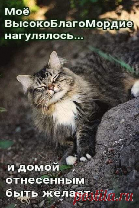 https://i.pinimg.com/564x/ce/c3/33/cec33334675bd6a31d472f780d50fa92.jpg