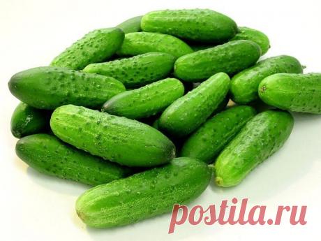 Как отбелить темную кожу на локтях за 5 минут | Всегда в форме!