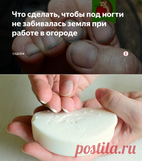 Что сделать, чтобы под ногти не забивалась земля при работе в огороде | садоёж | Яндекс Дзен