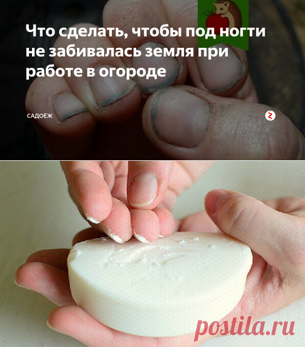 Что сделать, чтобы под ногти не забивалась земля при работе в огороде | садоёж | Яндекс Дзен