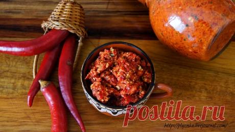 Аджика абхазская
Знаете, мне очень! очень нравится готовить такие вещи!!! Я чуствую себя ведьмой, только не злой старухой, а знающей ведьмой над котлом с целеным отваром)))))А ещё я поняла, что аджику надо готовить и…