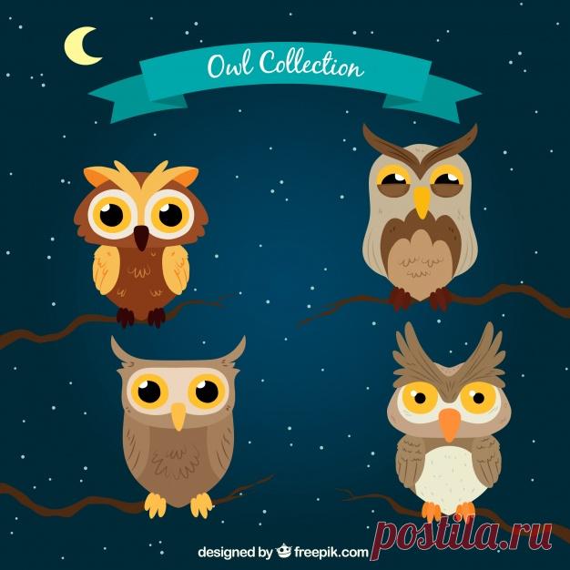 Мультяшная сова в ночное время Более миллиона свободных векторов, PSD, фотографии и бесплатные иконки. Эксклюзивные халявы и все графические ресурсы, которые необходимые для ваших проектов