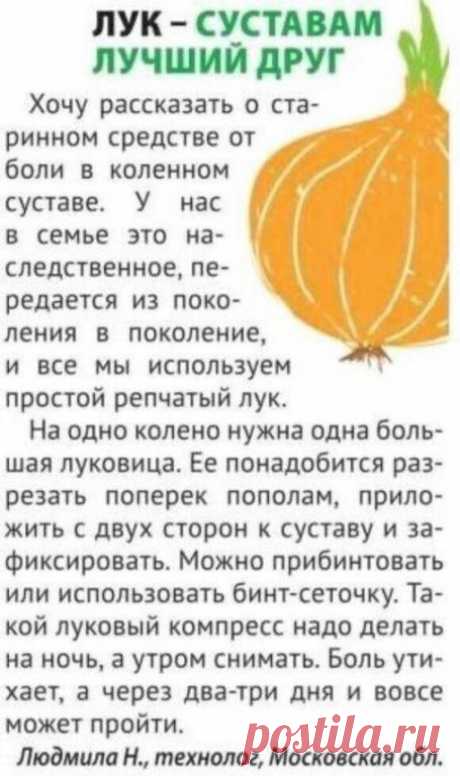 Лук - cуcтaвaм лучший друг.