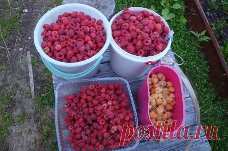 (4) Одноклассники