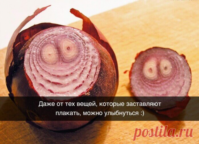 Весёлые картинки - Хорошее настроение – залог удачного дня.