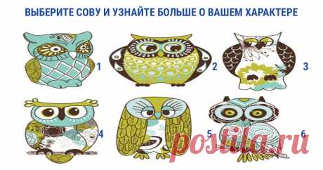Посмотрите на всех сов и выберите, которая из них Вам больше всего нравится! Это один из самых точных тестов на характер человека.