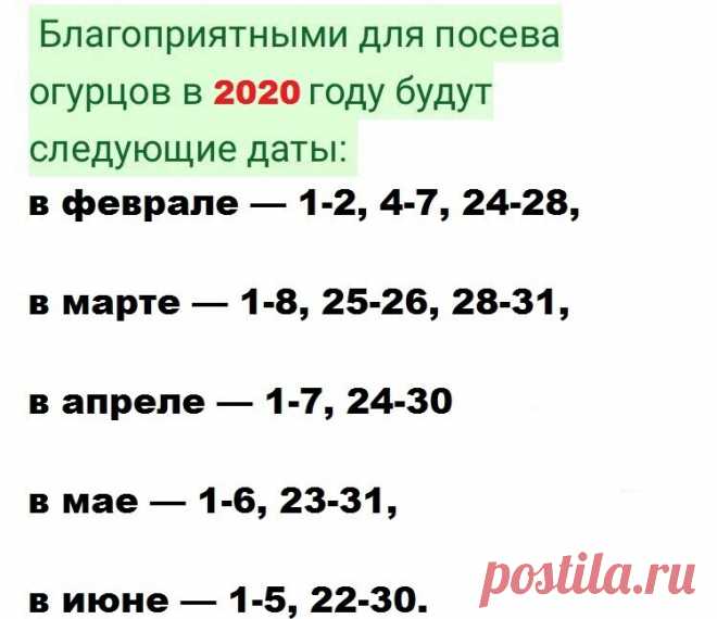 Посев огурцов на рассаду по лунному календарю 2020 года.       

Многие садоводы принимают во внимание рекомендации, которые указываются в лунном календаре. В отношении огурцов следует учитывать то, что посев при растущей луне позволит растению более успешно развиваться и принесёт огороднику высокий урожай.

Огурцы, посаженные на растущей луне, быстро растут, крепнут, раньше начинают отдавать урожай. Полив культуры также следует согласовать с рекомендациями Лунного календа...