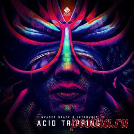 Invader Space &amp; InterVoid – Acid Tripping - psytrancemix.com