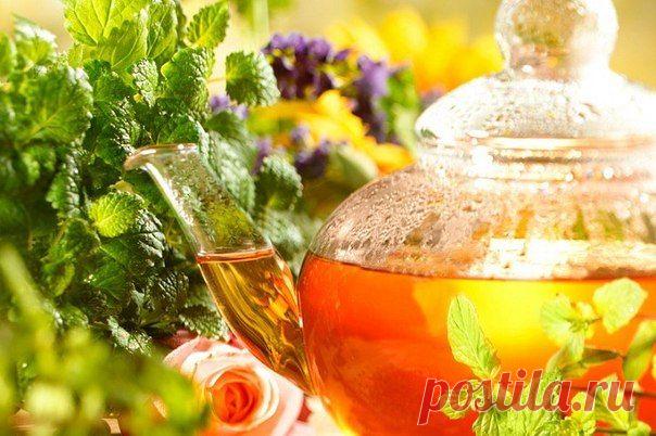 ЧТО ПОЛЕЗНО ДЛЯ ПЕЧЕНИ