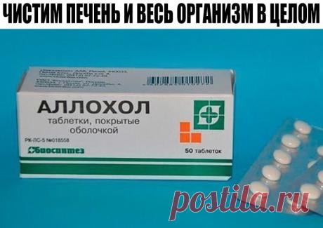 ЧИСТИМ ПЕЧЕНЬ И ВЕСЬ ОРГАНИЗМ В ЦЕЛОМ. ЧИСТИМ ПЕЧЕНЬ И ВЕСЬ ОРГАНИЗМ В ЦЕЛОМ.
Программа очищения рассчитана на 14 дней, три раза в в день принимать таблетки Аллохола. 
1-й день - по 1 таблетке 3 раза в день;
2-й день - по 2 таблетке 3 раза в день;
3-й день - по 3 таблетки 3 раза в день;
4-й день - по 4 таблетки 3 раза в день; 
5-й день - по 5 таблеток 3 раза в день;
6-й день - по 6 таблеток 3 раза в день;
7-й день - по 7 таблеток 3 раза в день;
8-й день - по 7 таблеток 3 р...
