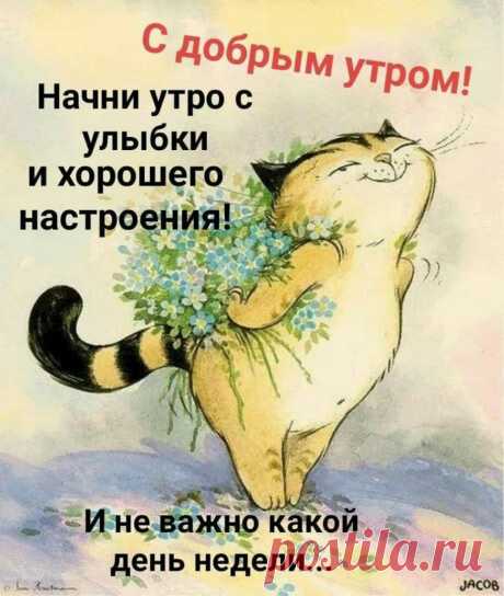 0_ZN5oUVgcY.jpg (913×1080)